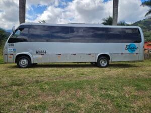 Ônibus parado em gramado