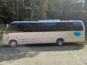 Ônibus estacionado em frente a uma mata
