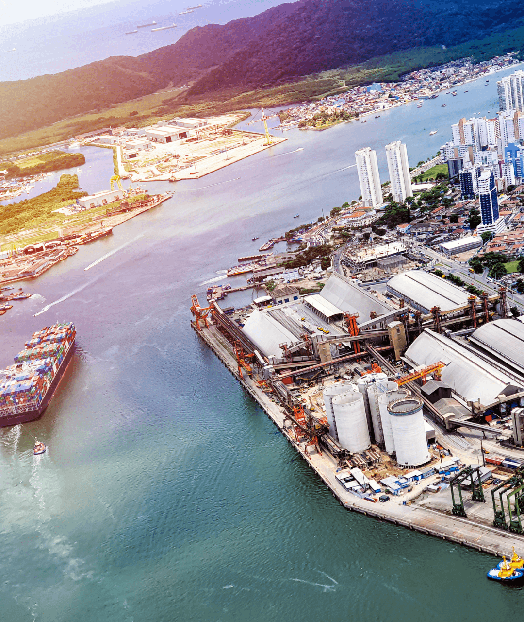 Transfer de Congonhas para Porto de Santos Blanc Vans