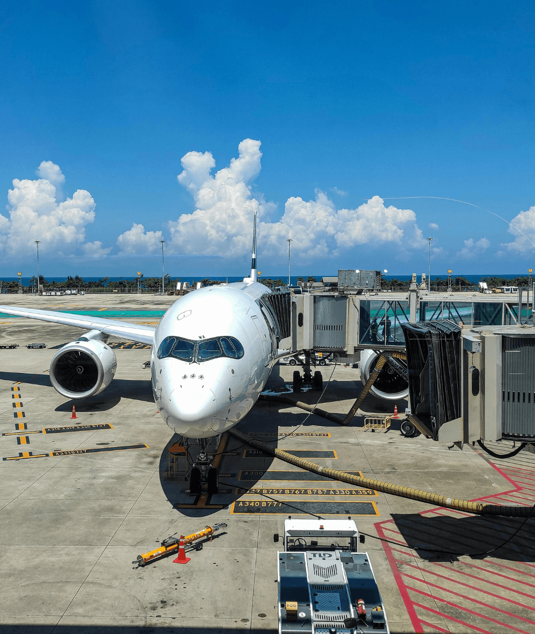 Transfer do Porto de Santos para o Aeroporto de Congonhas - Blanc Vans